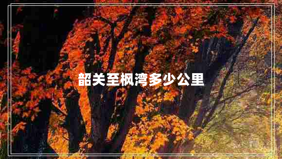 韶关至枫湾多少公里
