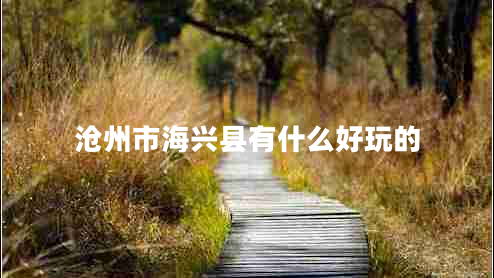 沧州市海兴县有什么好玩的