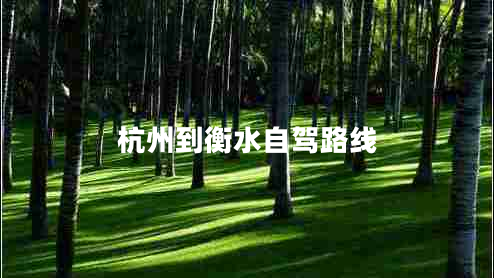 杭州到衡水自驾路线