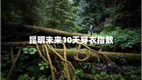 昆明未来10天穿衣指数