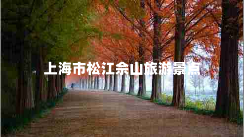 上海市松江佘山旅游景点