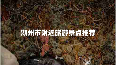 湖州市附近旅游景点推荐