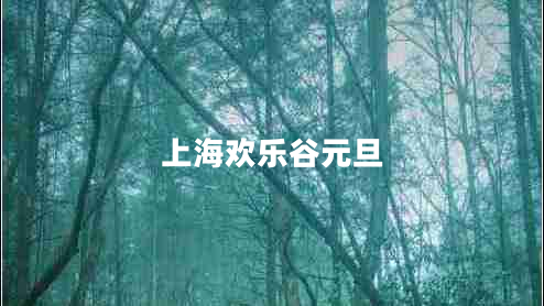 上海欢乐谷元旦