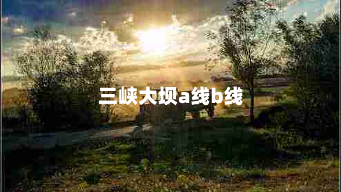 三峡大坝a线b线