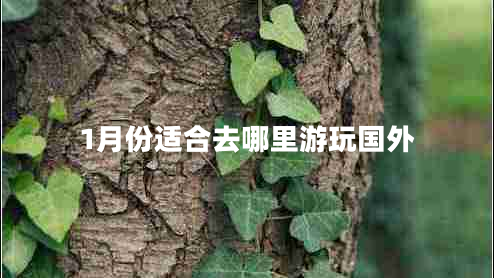 1月份适合去哪里游玩国外