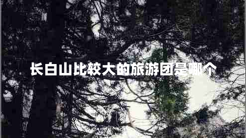 长白山比较大的旅游团是哪个