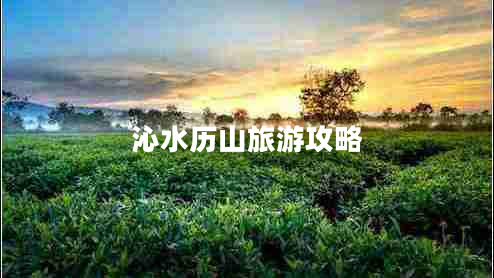 沁水历山旅游攻略