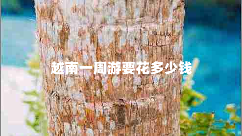 越南一周游要花多少钱