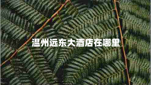 温州远东大酒店在哪里