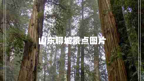 山东聊城景点图片