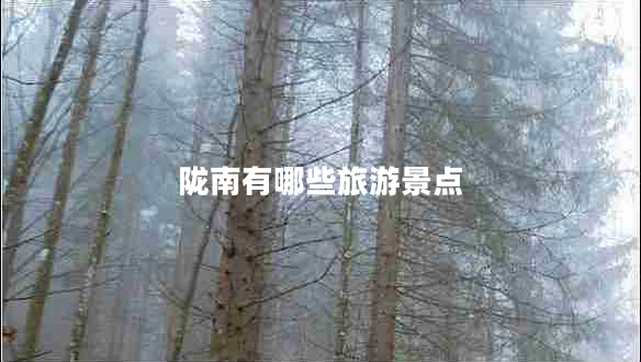 陇南有哪些旅游景点