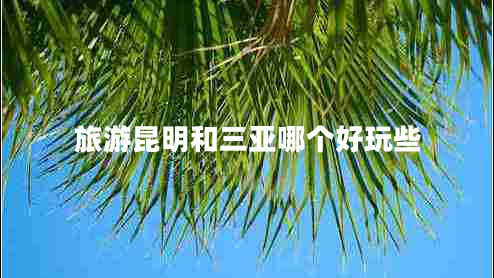 旅游昆明和三亚哪个好玩些