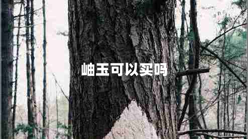 岫玉可以买吗