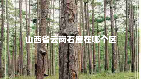 山西省云岗石窟在哪个区