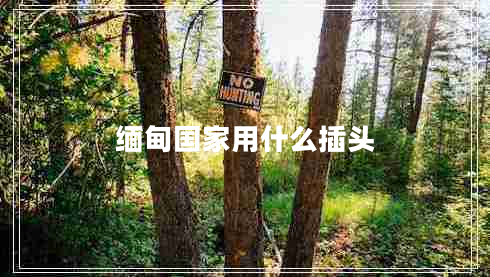 缅甸国家用什么插头