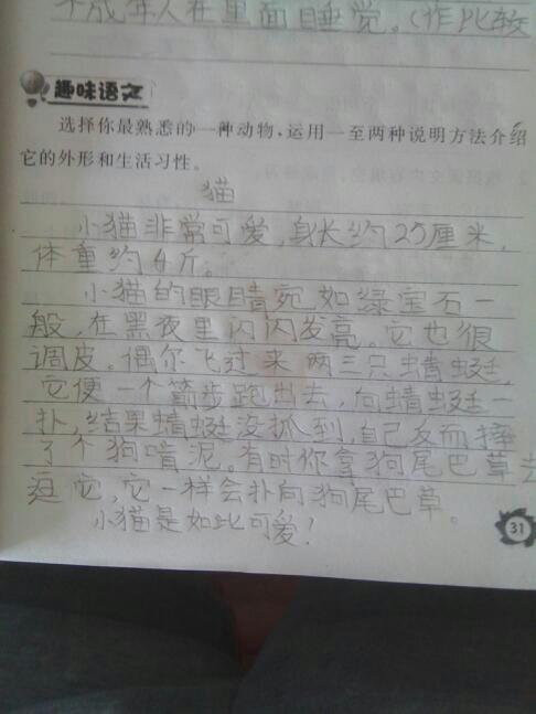 关于动物的作文方法有哪些