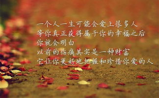 失落伤感的古诗句