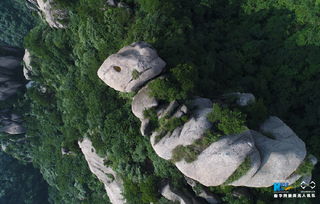 诗句,华峰