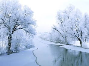 诗句,课本,小学生,于雪