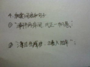 诗句,词语,有哪些,于海