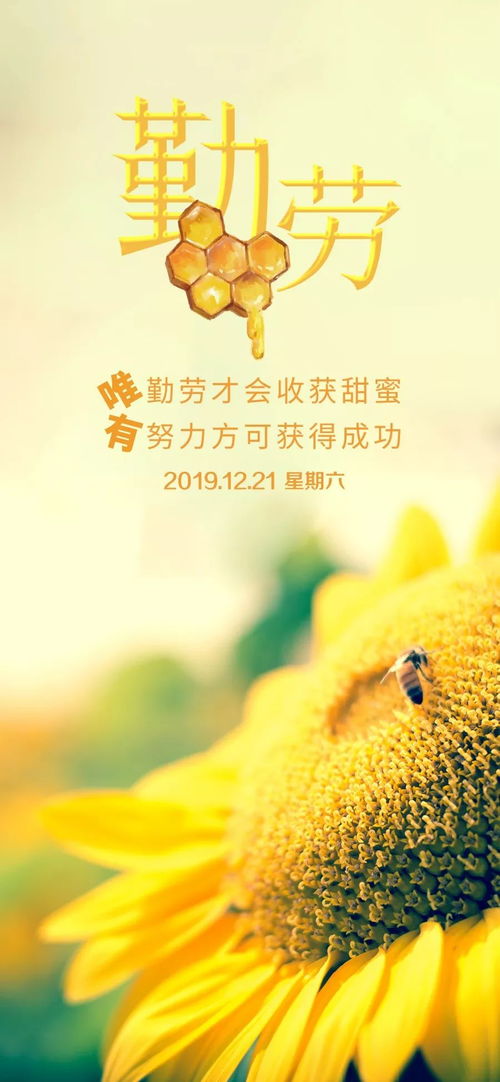 摘抄,诗句,激励,大全