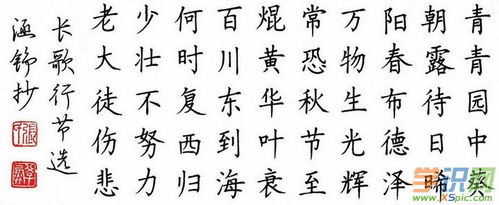 古诗,诗句,书法,欣赏