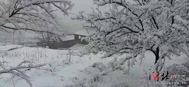 关于冬季去游玩的诗句
