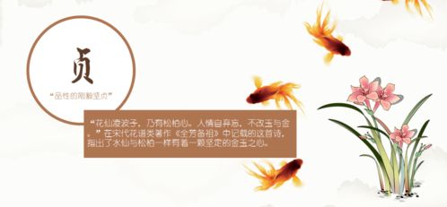 水仙的古诗句