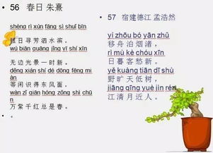古诗,诗句,带有,小学