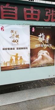 诗句,月光,理想