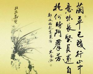 诗句,文学,生活