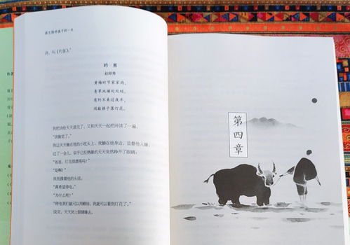 感受诗词之美作文800字,感受诗词之美作文小标题,感受诗词的美好作文