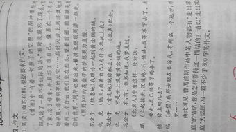 回味照片800字作文开头