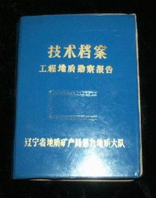 工程地质勘察报告论文(工程地质勘察报告的论文)