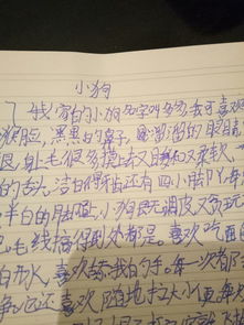 自己家的小狗作文600字作文开头怎么写