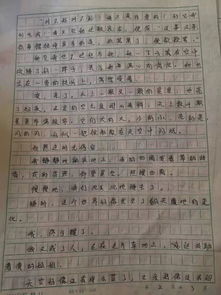 当有人冤枉时作文小升初开头