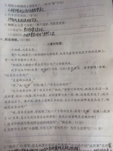 游戏中的智慧作文开头