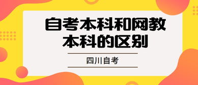 自考本科和网络教育哪个贵