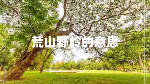 荒山野岭的意思