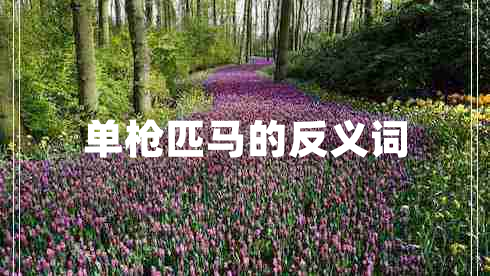 单枪匹马的反义词