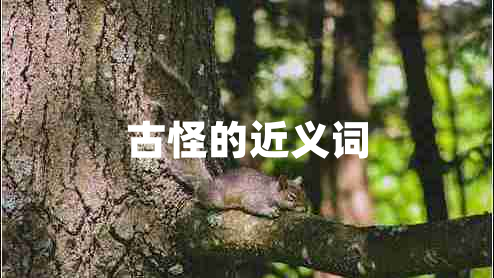 古怪的近义词