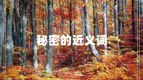 秘密的近义词