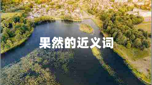 果然的近义词