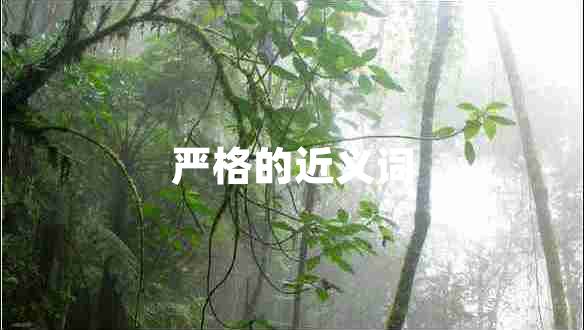 严格的近义词