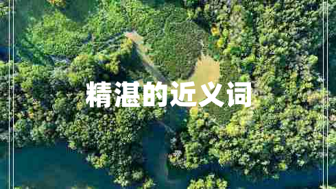 精湛的近义词