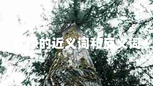 犹豫的近义词和反义词