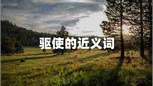 驱使的近义词