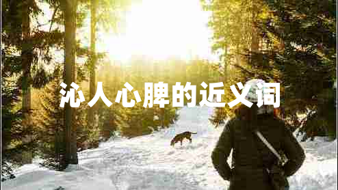 沁人心脾的近义词