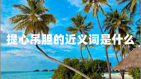 提心吊胆的近义词是什么
