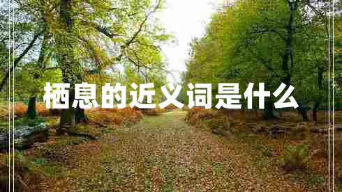 栖息的近义词是什么